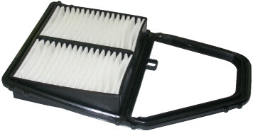 Air Filter (WG1746783)