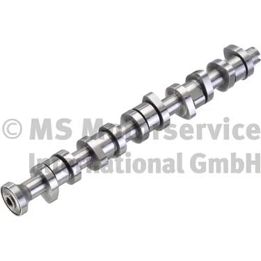 Camshaft (WG1017514)