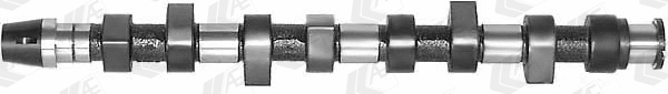 Camshaft (WG1171858)