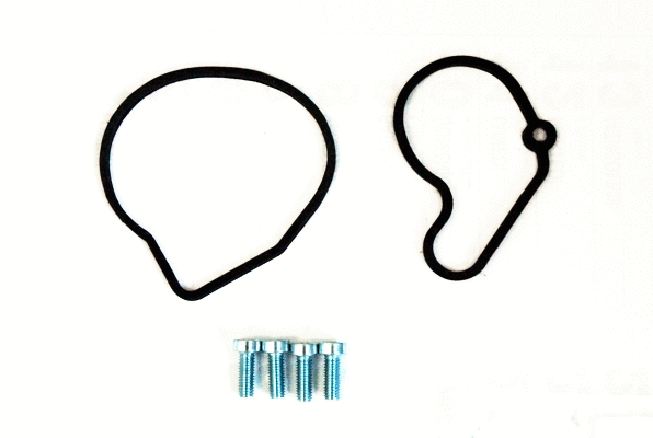 Repair Set, vacuum pump (braking system) (WG2263287)