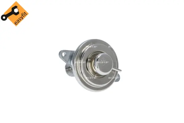 EGR Valve (WG2161855)