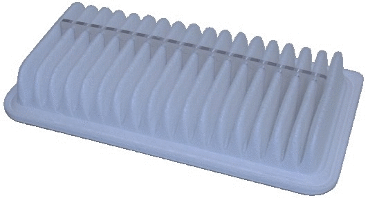 Air Filter (WG1747474)