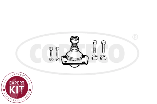 Ball Joint (WG2288323)
