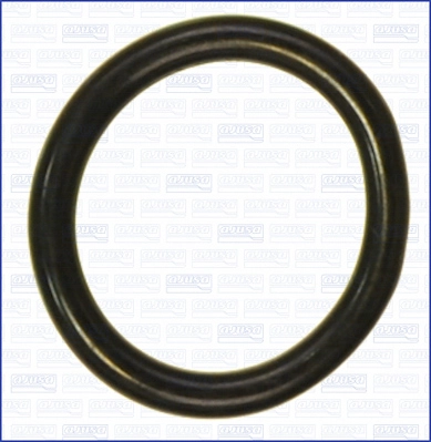 Seal, thermostat (WG2081120)