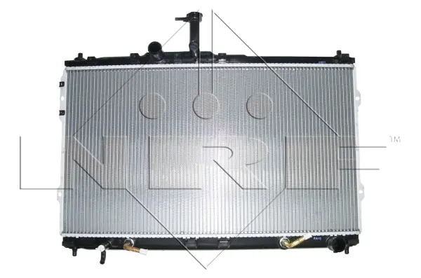 Radiator, engine cooling (WG1723372)