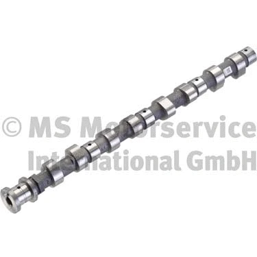 Camshaft (WG1700599)