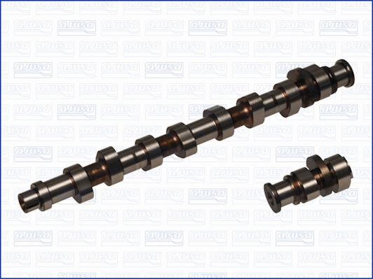 Camshaft (WG1456701)