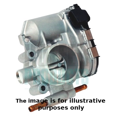 Throttle Body (WG1899261)