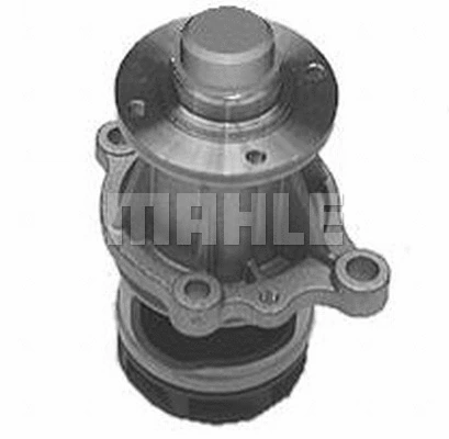 Water Pump, engine cooling (WG2181581)