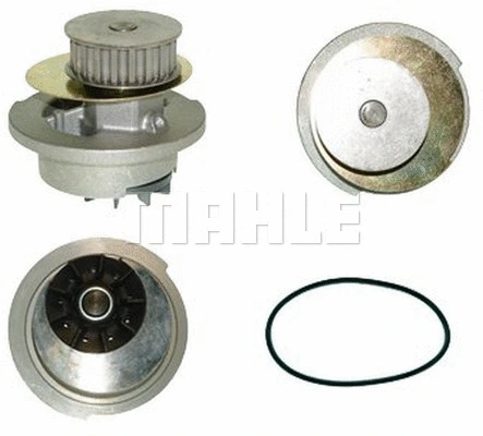 Water Pump, engine cooling (WG2181624)