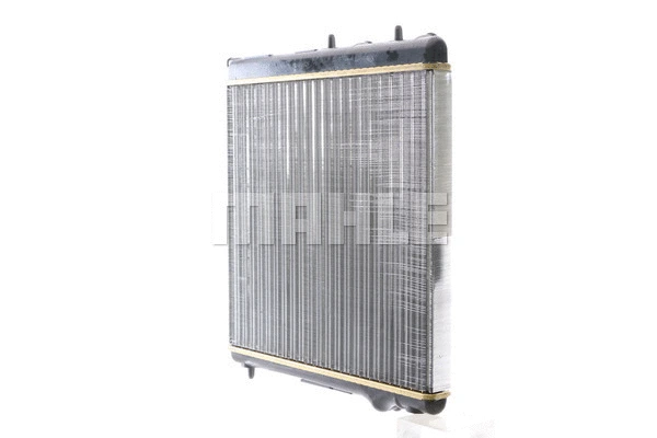 Radiator, engine cooling (WG2183053)