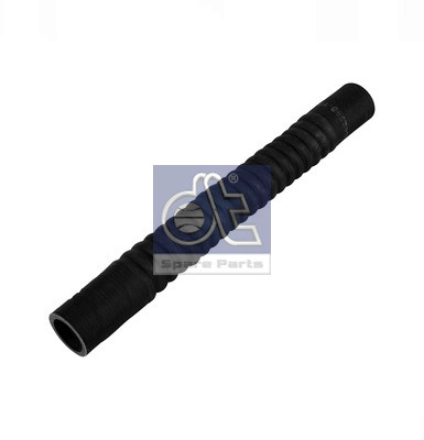 Radiator Hose (WG2310066)