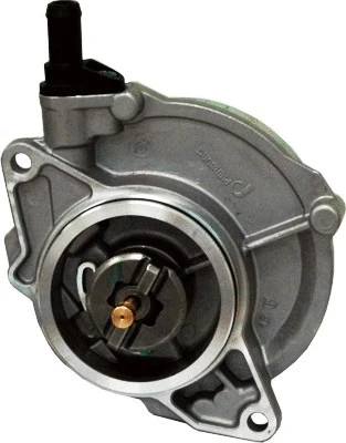 Vacuum Pump, braking system (WG1014534)