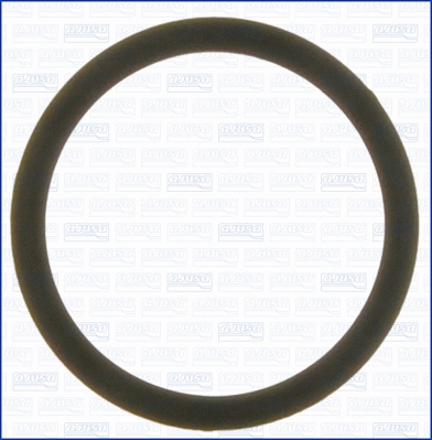 Seal, thermostat (WG1751095)