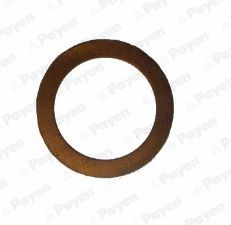 Seal Ring, oil drain plug (WG2046650)