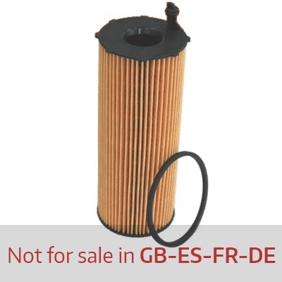 Oil Filter (WG1746615)
