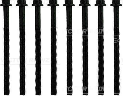 Cylinder Head Bolt Set (WG1791146)