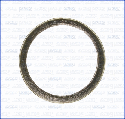 Gasket, exhaust pipe (WG1451930)