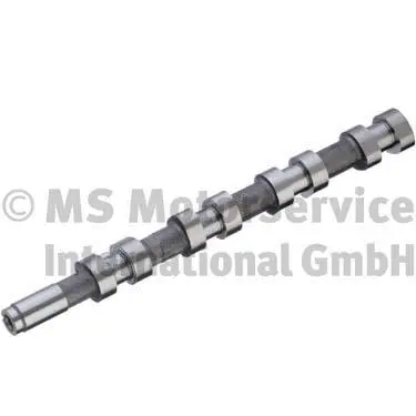Camshaft (WG1151019)