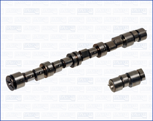 Camshaft (WG1170786)