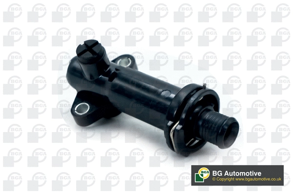 Thermostat, coolant (WG1991889)