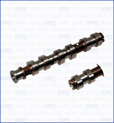 Camshaft (WG1009703)