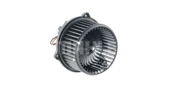 Interior Blower