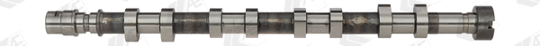 Camshaft (WG1462561)