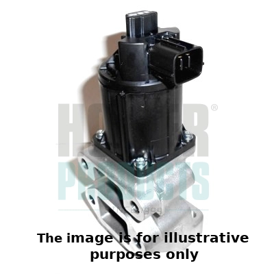 EGR Valve (WG2152206)