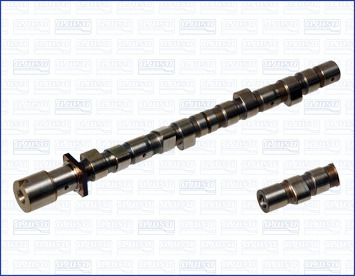 Camshaft (WG1170784)