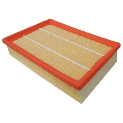 Air Filter (WG1746802)