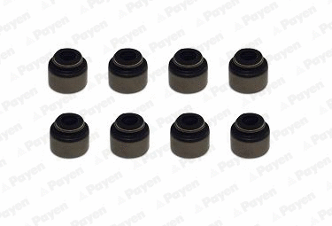 Seal Set, valve stem (WG1939299)