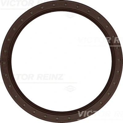 Shaft Seal, camshaft (WG1250159)