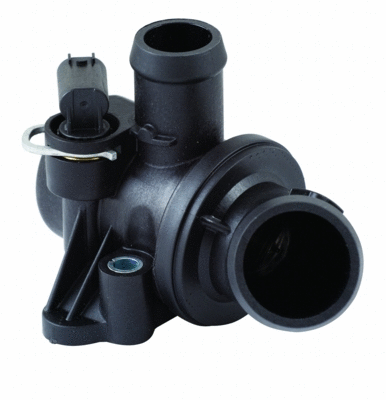 Thermostat, coolant (WG1409448)