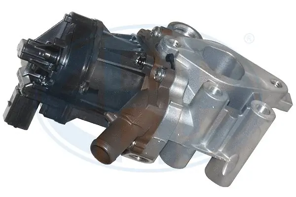 EGR Valve (WG1494607)