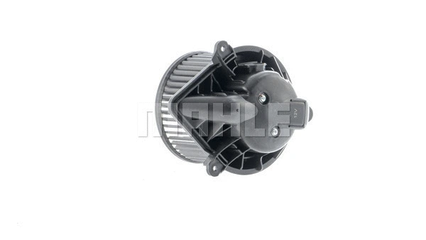 Interior Blower