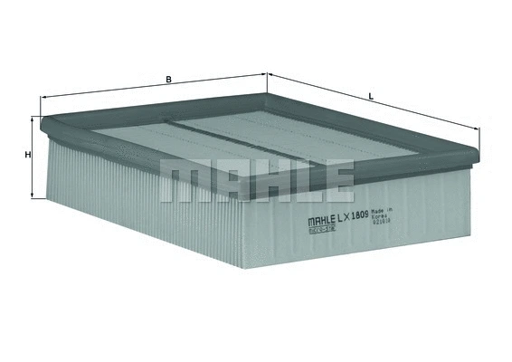 Air Filter (WG1216072)
