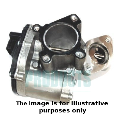 EGR Valve (WG1893399)
