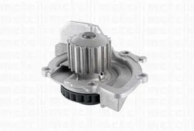 Water Pump, engine cooling (WG1790609)