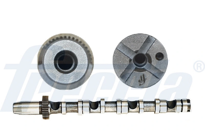 Camshaft (WG1155402)