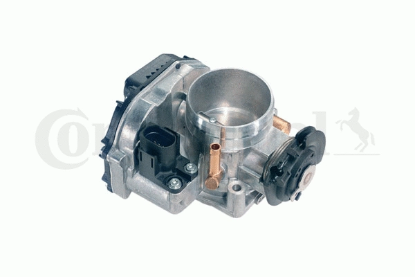 Throttle Body (WG1032699)