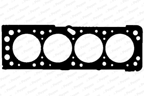 Gasket, cylinder head (WG1090903)