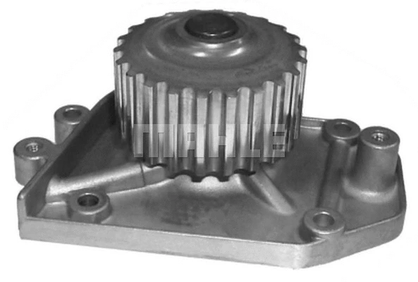Water Pump, engine cooling (WG2181526)