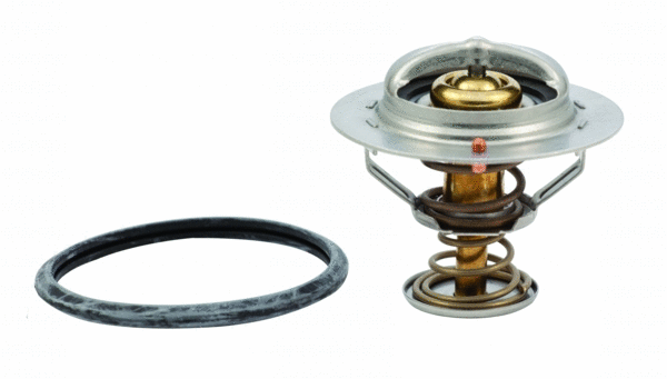 Thermostat, coolant (WG1409276)