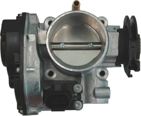 Throttle Body (WG1013482)