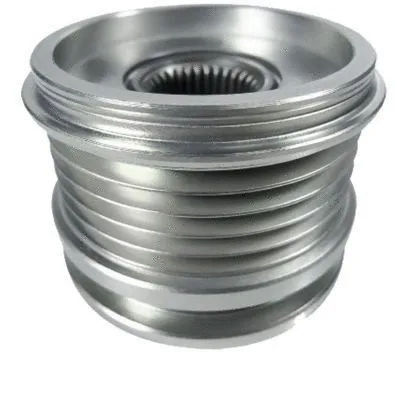 Alternator Freewheel Clutch (WG2262350)