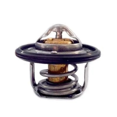 Thermostat, coolant (WG1409443)