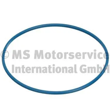 Seal, fuel tank cap (WG1025397)