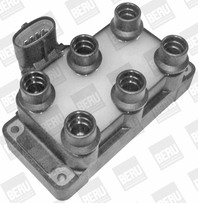 Ignition Coil (WG1487425)
