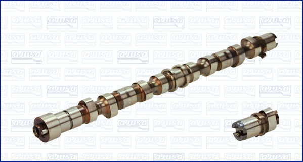 Camshaft (WG1009706)